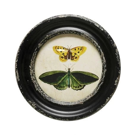 Round Butterfly/Moth Prints