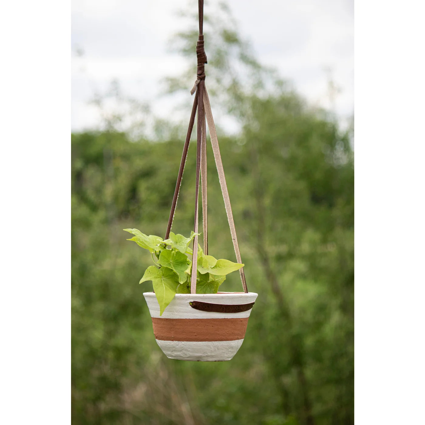 Gabe Hanging Terracotta Planter