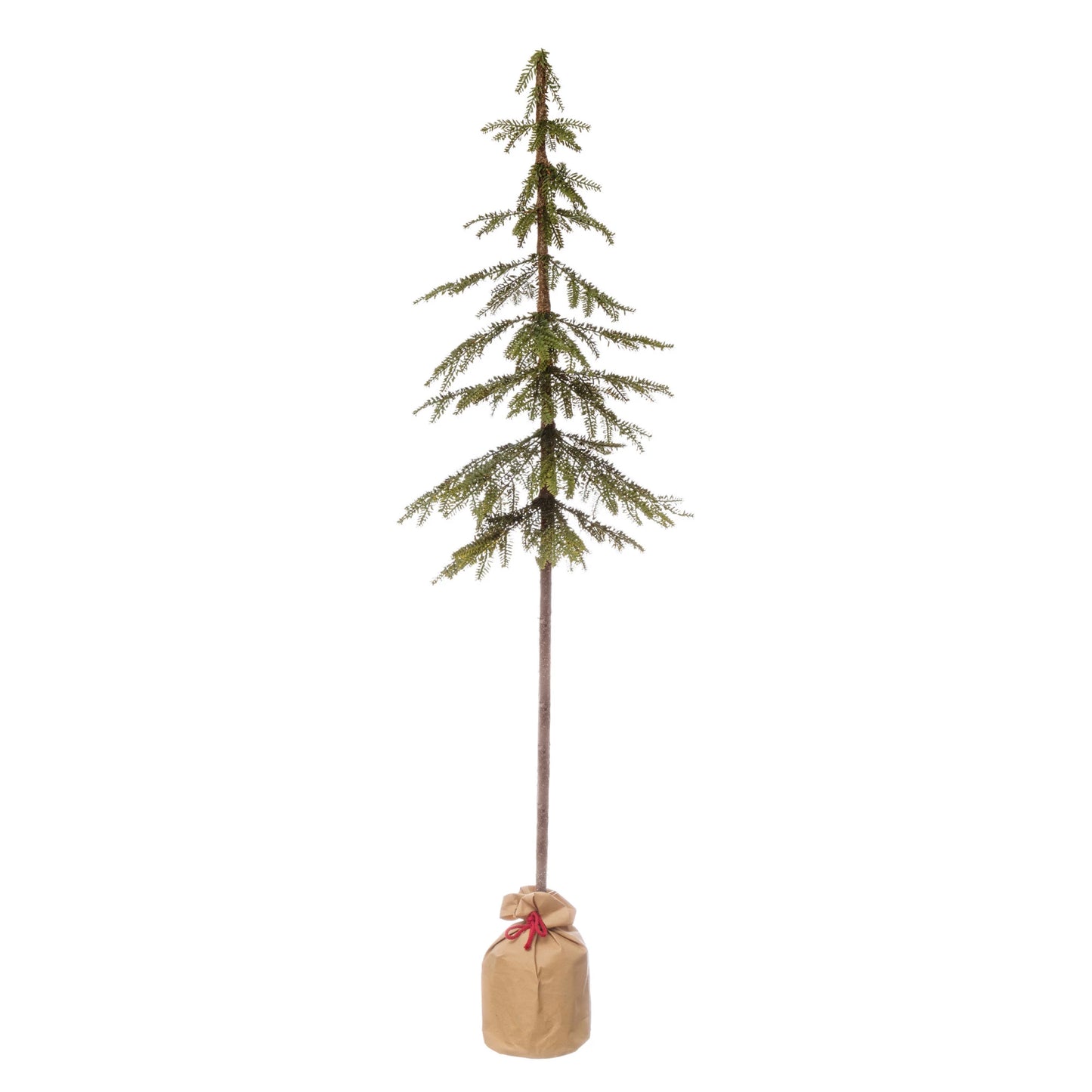 Pine Tree in Paper Sack