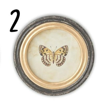 Round Butterfly Prints With Frames