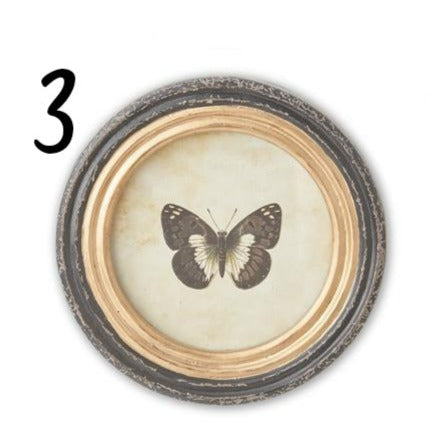 Round Butterfly Prints With Frames