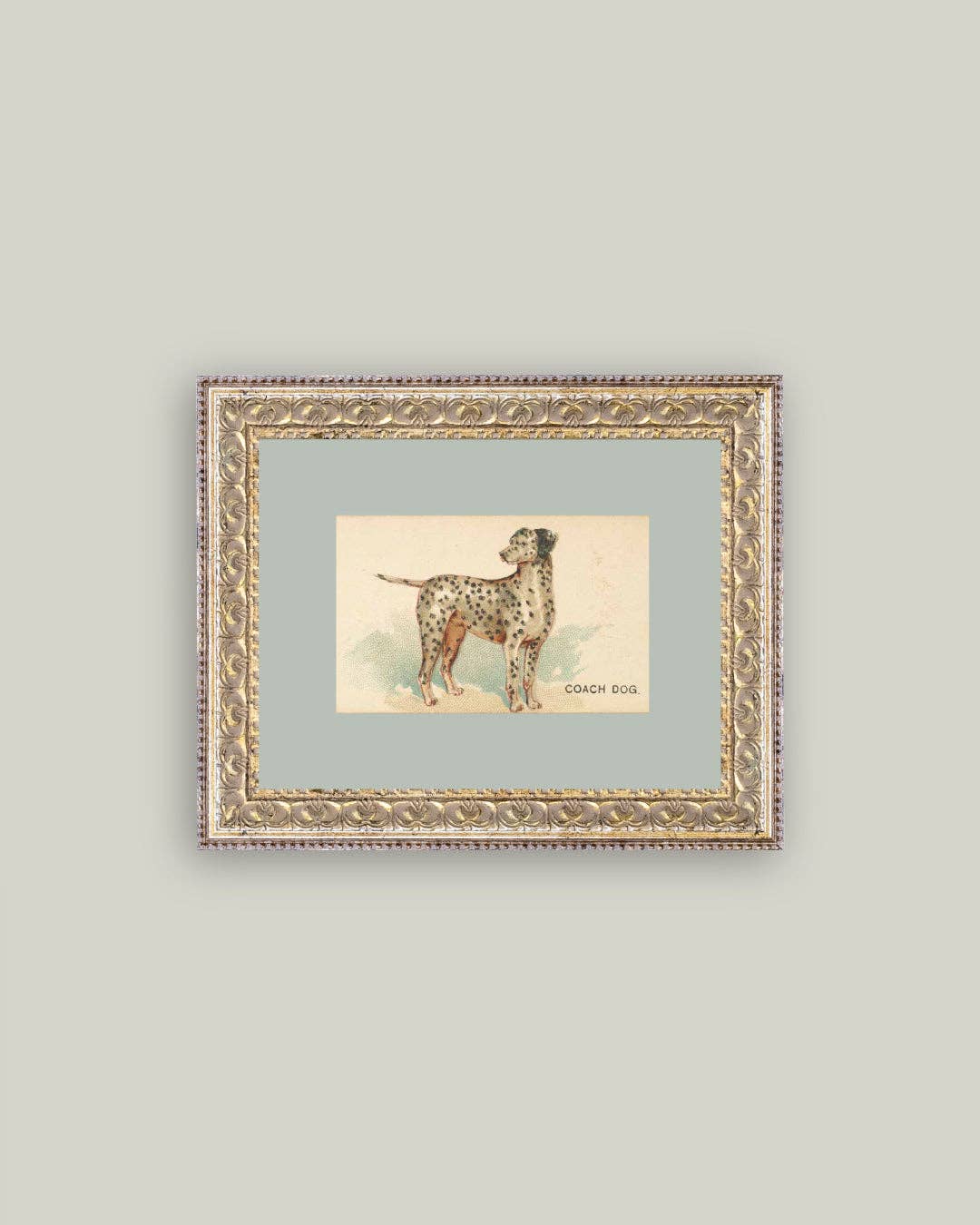 Dalmation Framed Antique Art