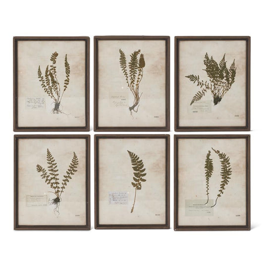 Assorted Rusty Metal Framed Fern Prints