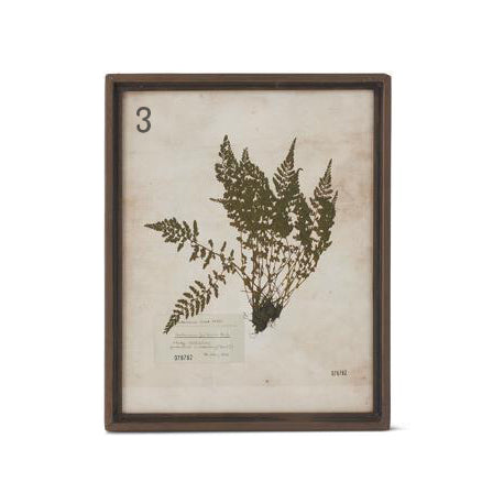 Assorted Rusty Metal Framed Fern Prints