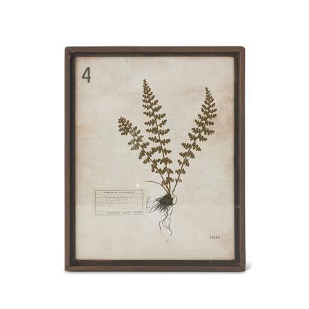 Assorted Rusty Metal Framed Fern Prints