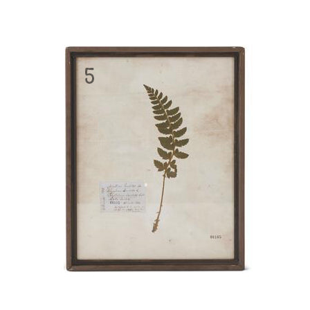 Assorted Rusty Metal Framed Fern Prints