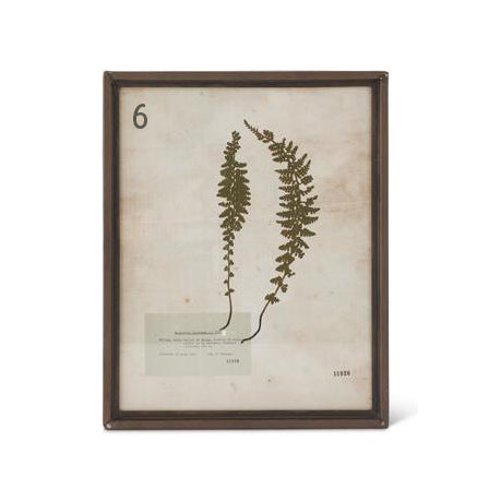 Assorted Rusty Metal Framed Fern Prints