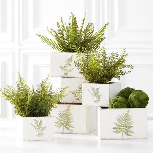 White Wood Nesting Boxes w/Fern Decals
