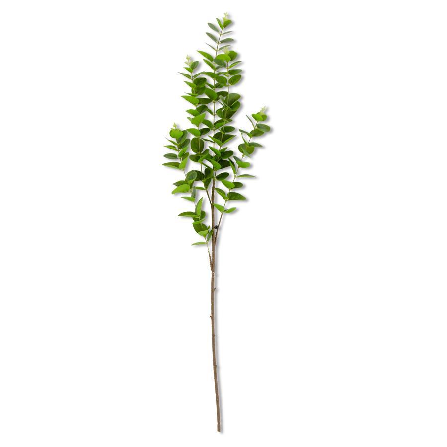 38 Inch Dark Green Gunnii Eucalyptus Stem