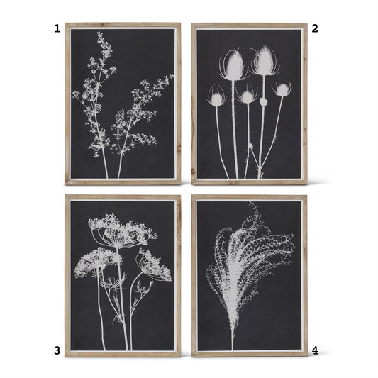 Wood Framed White Botanicals on Black Prints