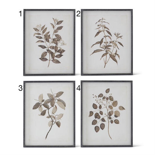 Assorted Black Wood Framed Botanical Prints