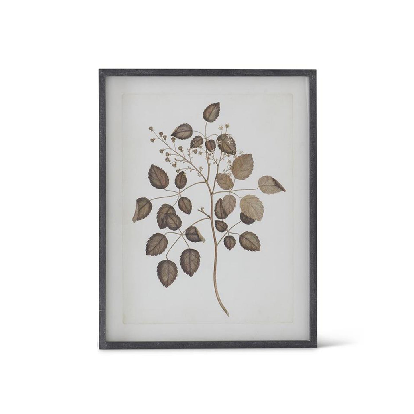 Assorted Black Wood Framed Botanical Prints