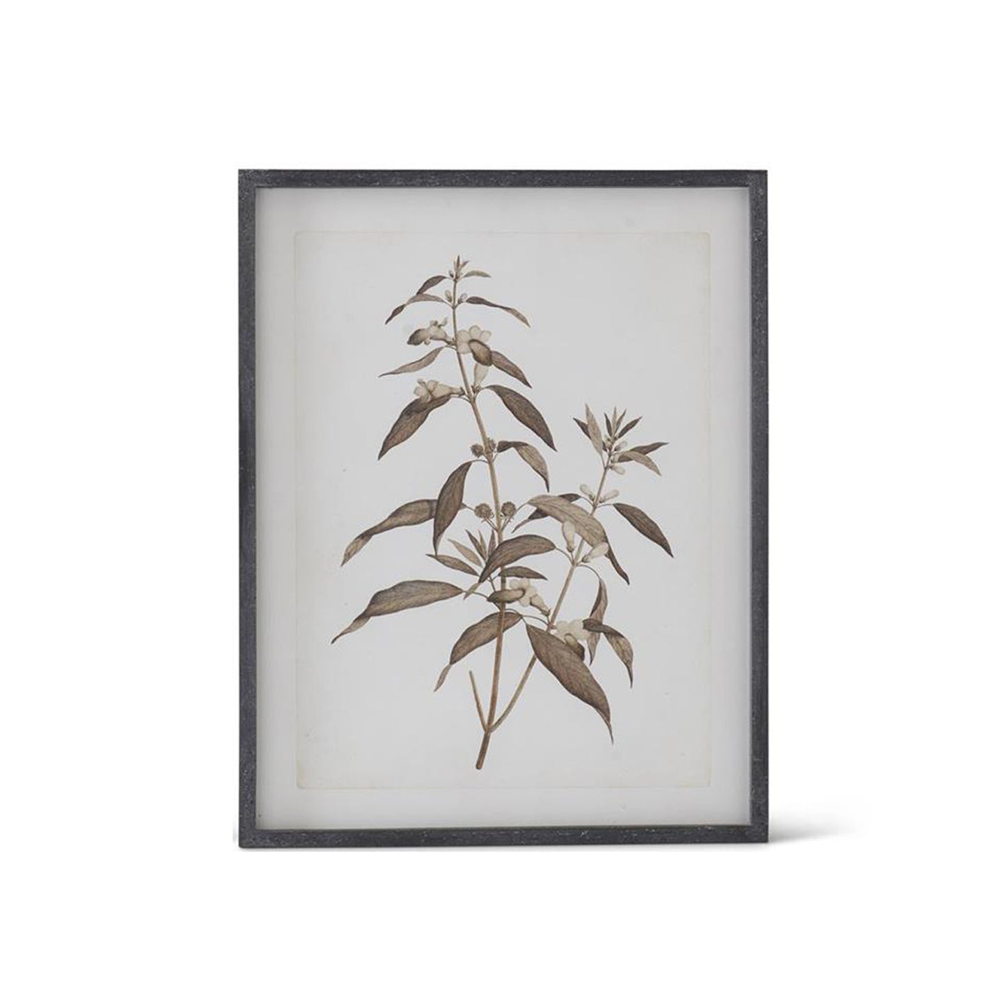 Assorted Black Wood Framed Botanical Prints