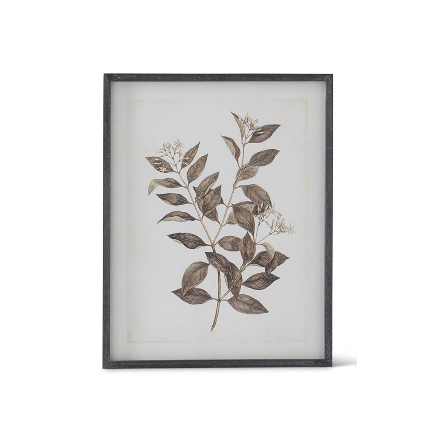 Assorted Black Wood Framed Botanical Prints