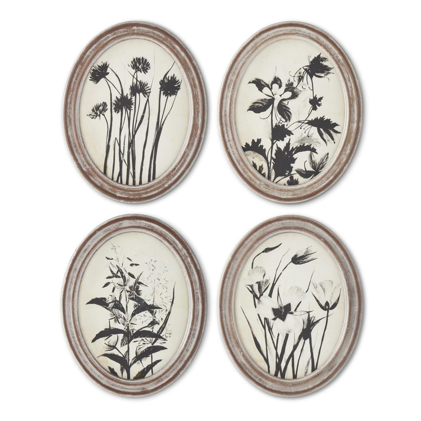Oval Black & White Botanical Print
