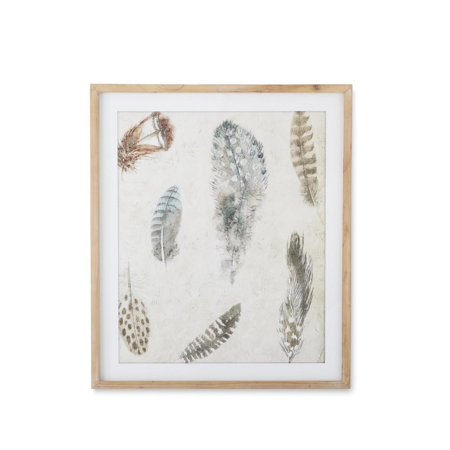 Natural Wood Framed Feather Prints (2 Styles)