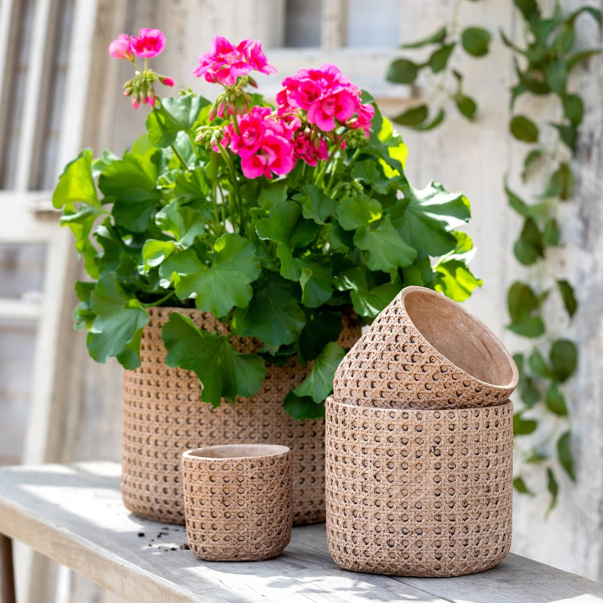 Cane Pattern Cement Pot Planter