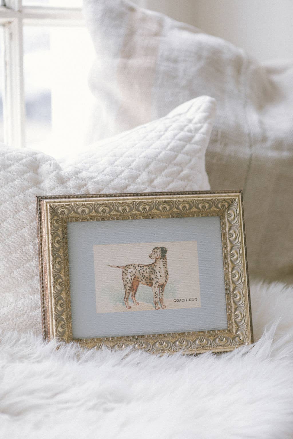 Dalmation Framed Antique Art