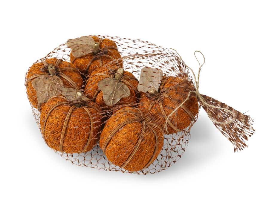 Orange Husk Pumpkins | Bag of 6