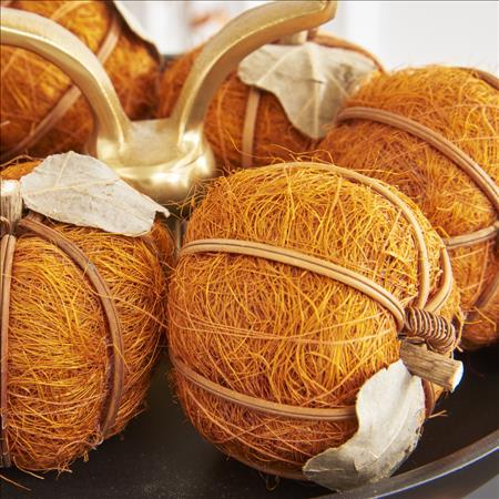 Orange Husk Pumpkins | Bag of 6