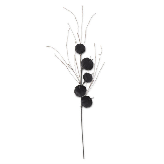 Black Velvet Pumpkin Stem