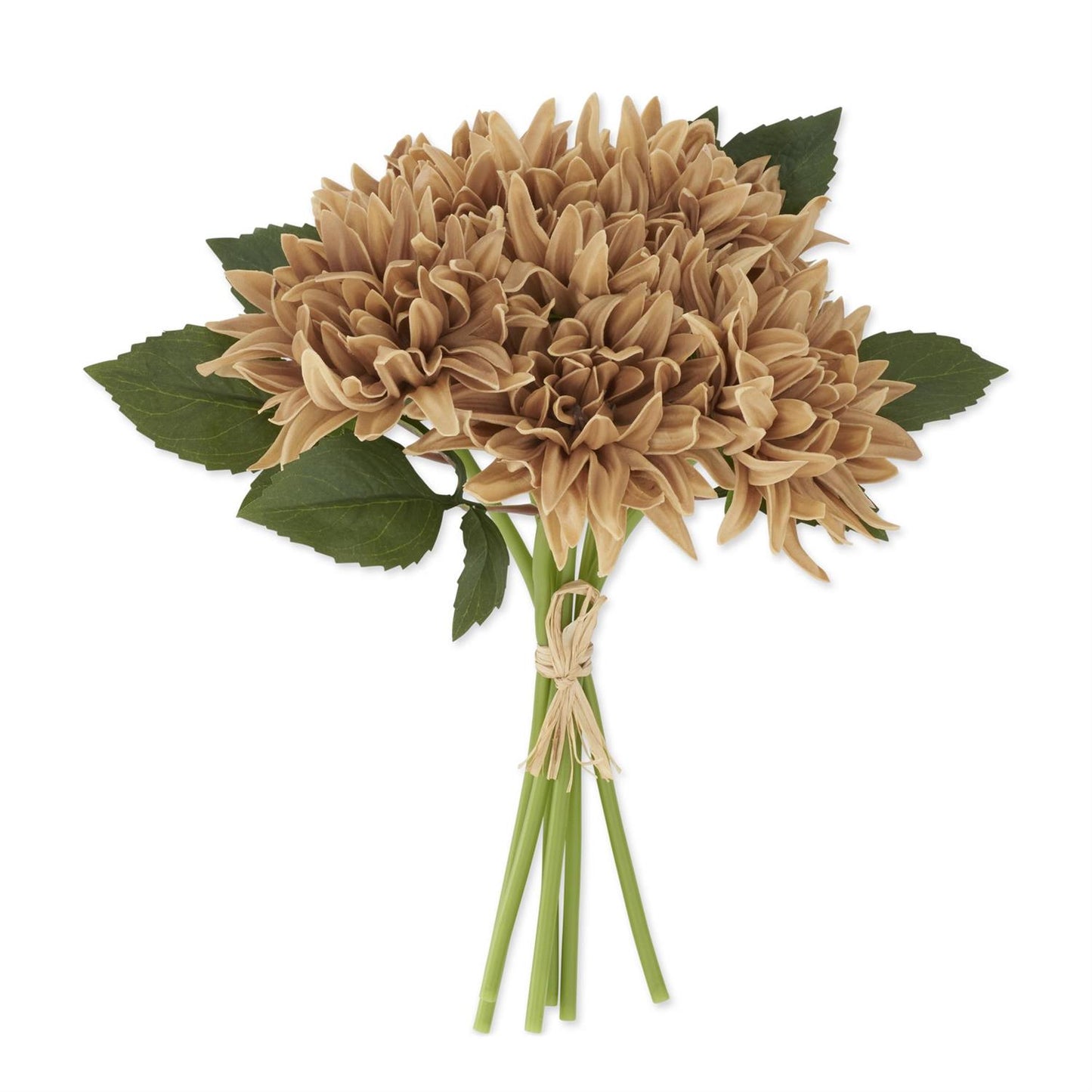 Tan Real Touch Dahlia Bundle, 12 Inch