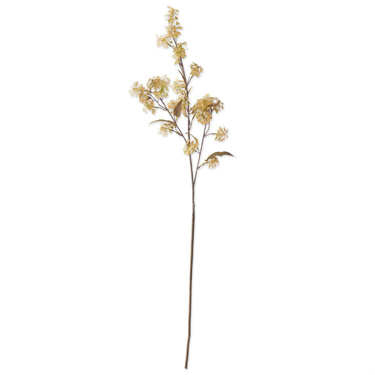 Yellow Elderberry Floral Stem