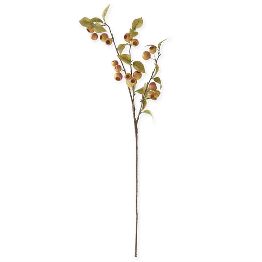 Yellow w/ Orange Pod Stem, 35 Inch