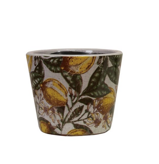 Terra-cotta Crackle Glaze Lemon Planter