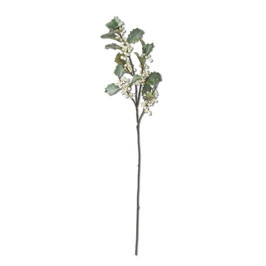 Holly Stem with White Berries