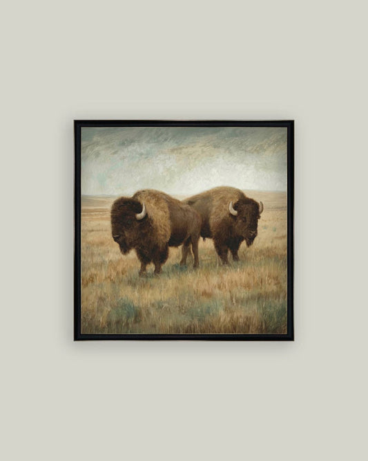 Bison Duo Framed Artwork