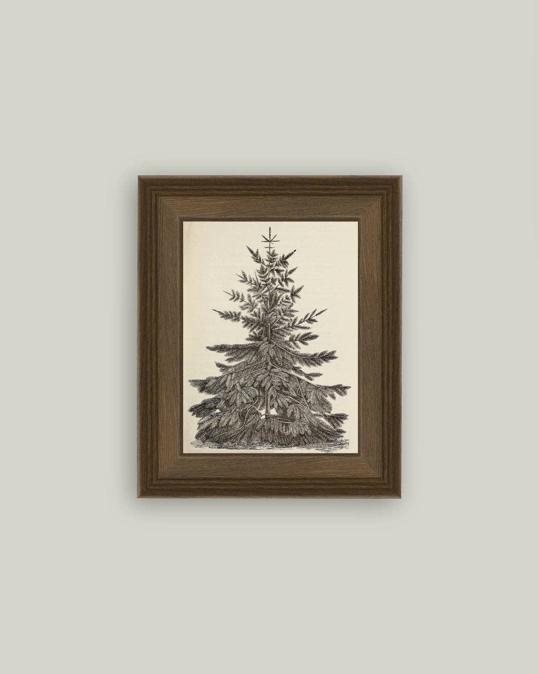 Vintage Pine Tree Framed Antique Art in Wood Frame