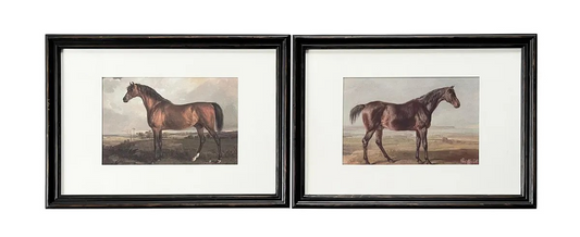 Thoroughbred Horse Prints