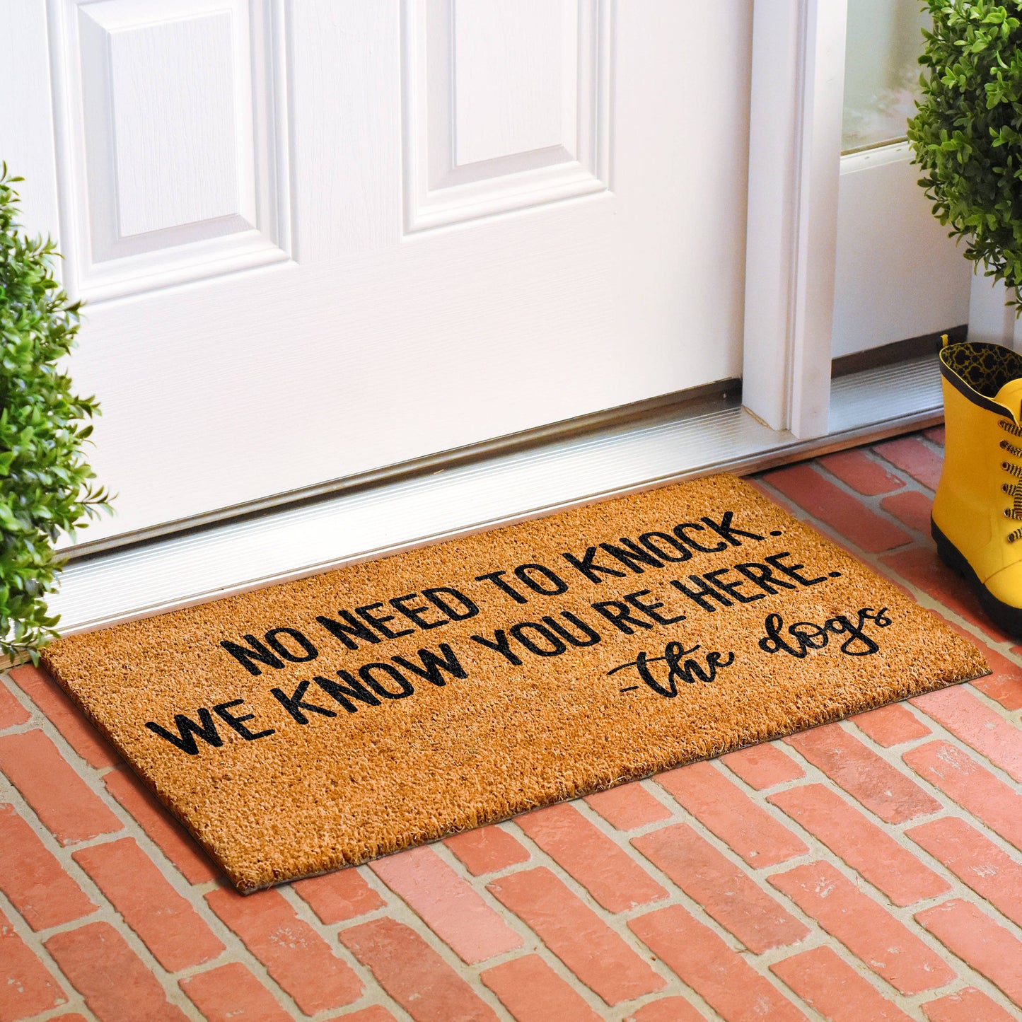 No need to knock - The Dogs Coir Doormat
