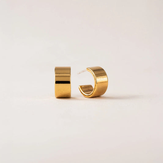 Alex Hoop Gold Earrings Pair