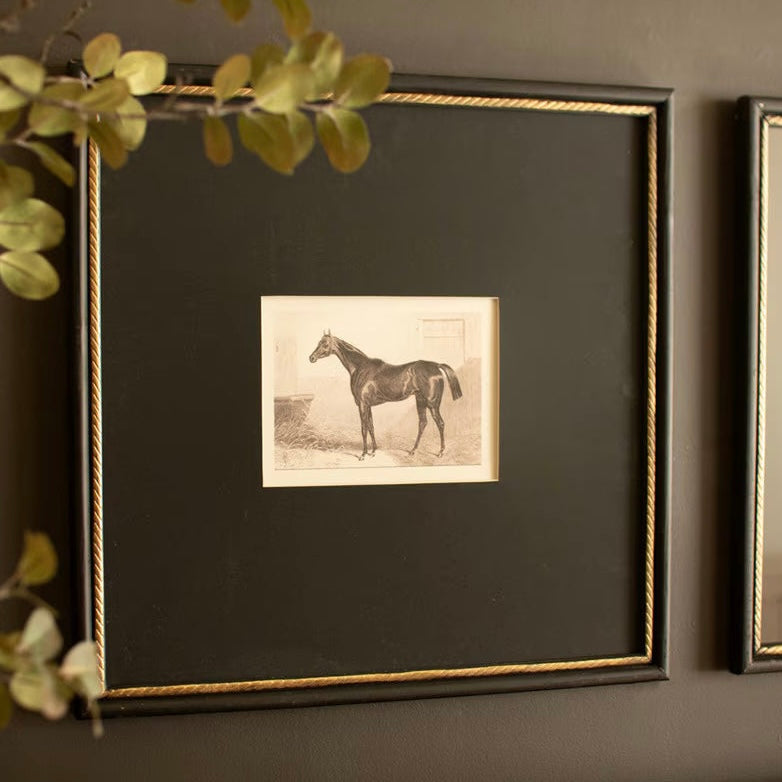 Black Framed Horse Print Under Glass
