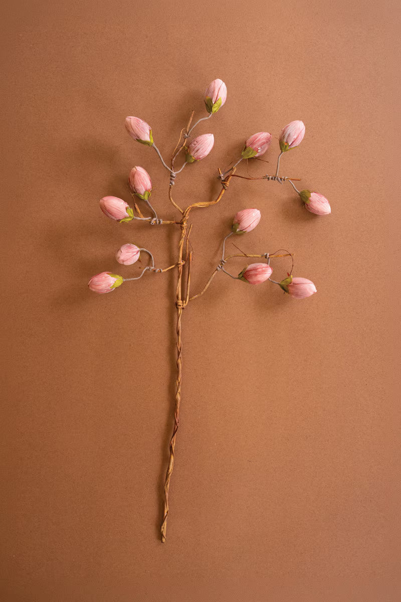 Pink Bud 36 inch Stem