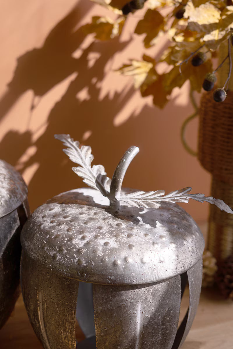 Rustic Metal Acorn Container, Two Sizes