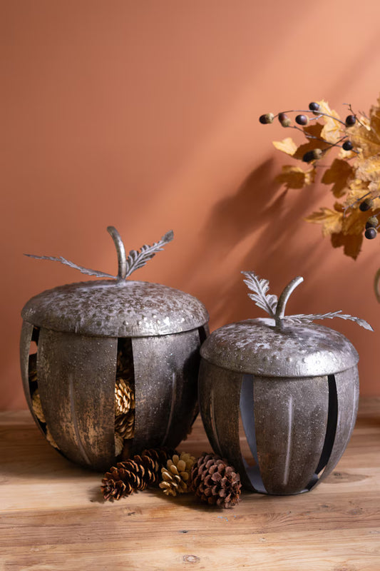 Rustic Metal Acorn Container, Two Sizes