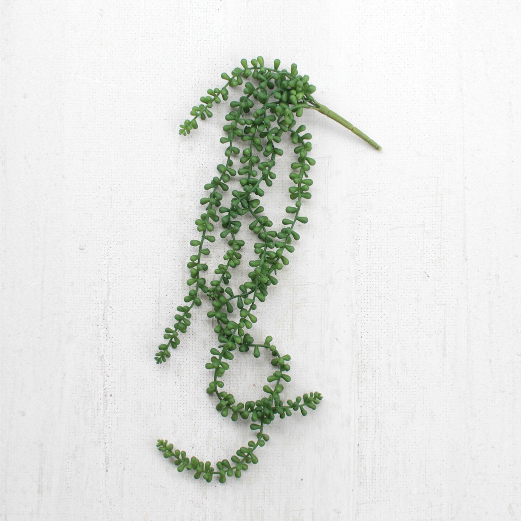 Artificial Necklace Fern Succulent