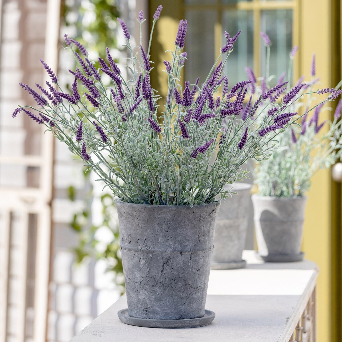 Meyer Cement Garden Pot w/ Tray