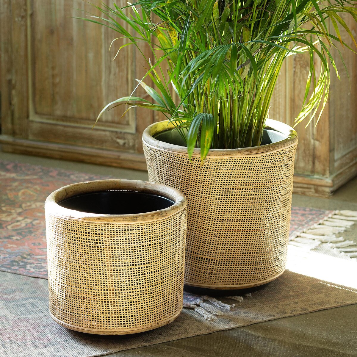 Woven Rattan Plant Basket