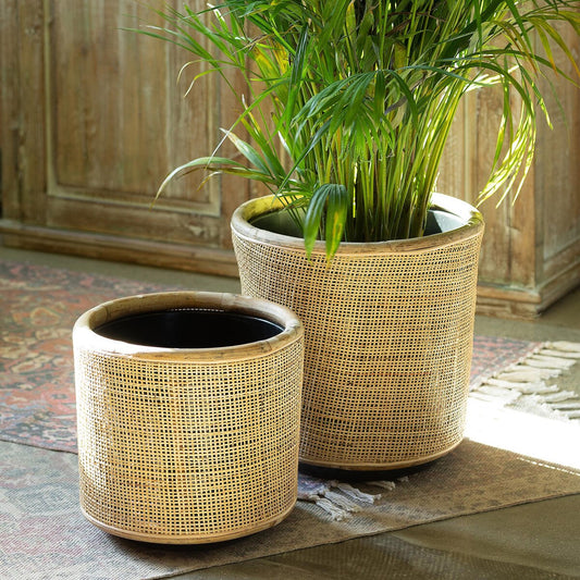 Woven Rattan Plant Basket