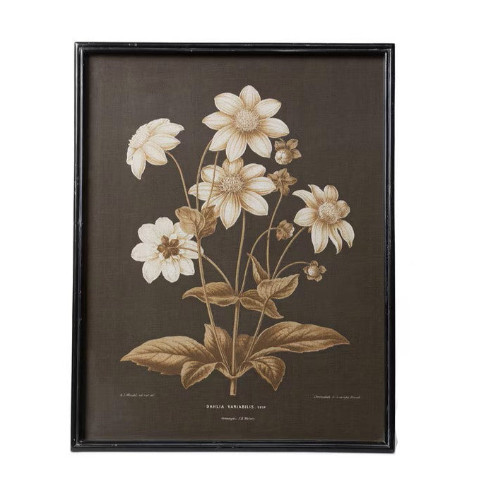 Garden Floral Botanical Framed Prints