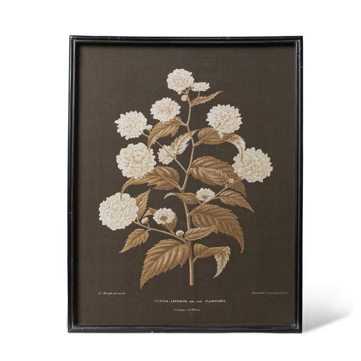 Garden Floral Botanical Framed Prints