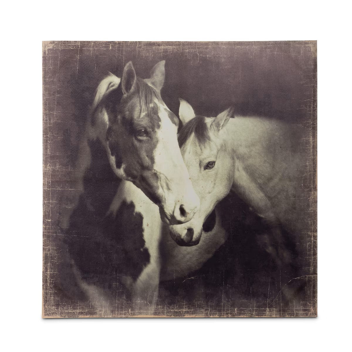 "Unbridled" Canvas Horse Prints