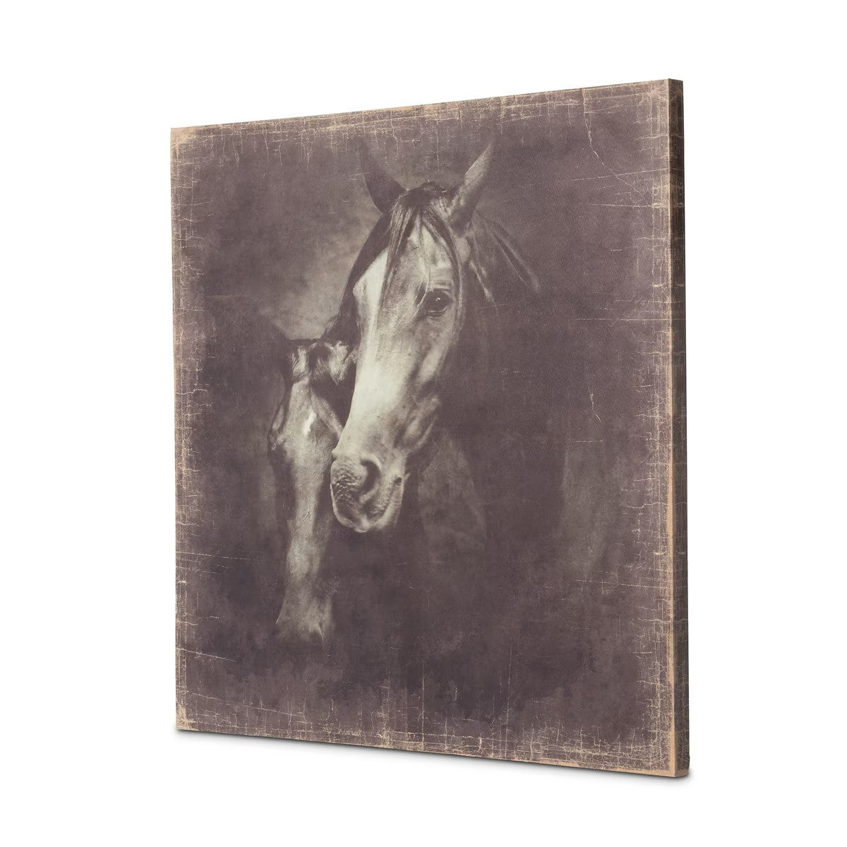 "Unbridled" Canvas Horse Prints