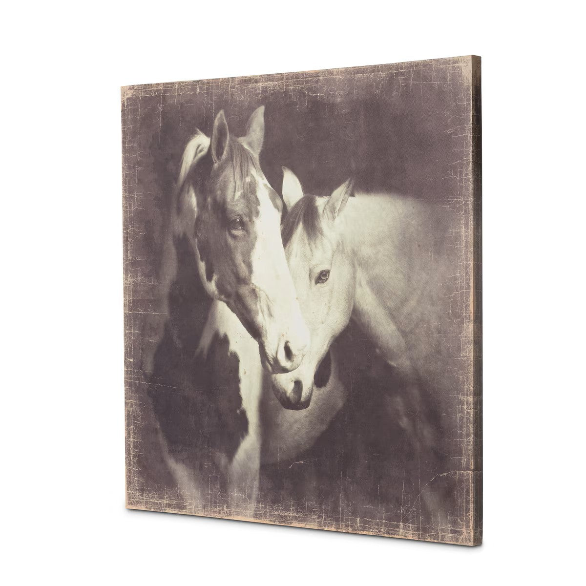 "Unbridled" Canvas Horse Prints