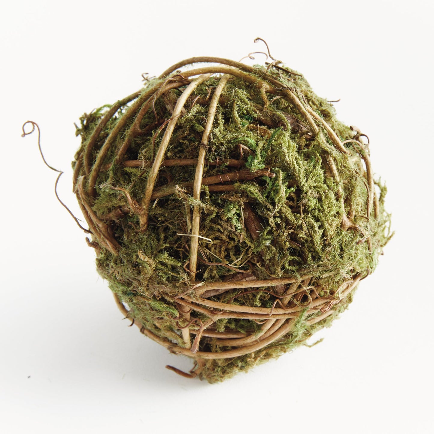 Mossy Vine Orb Ball