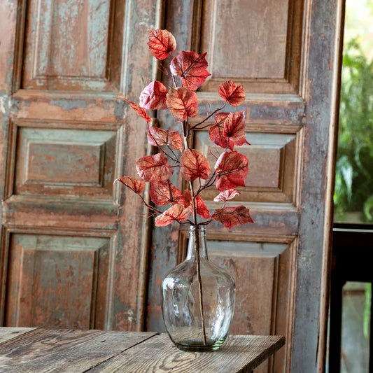 Autumnal Boston Ivy Stem